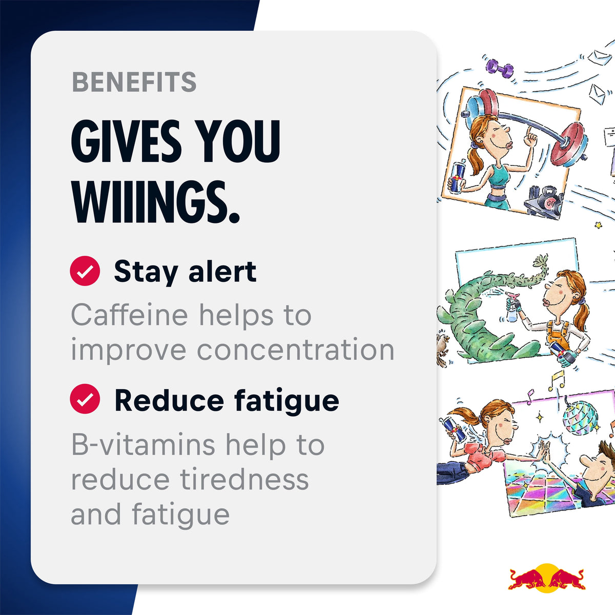 Red Bull Energy Drink Variety Advent Calendar Pack, with 80mg Caffeine, Taurine & B Vitamins, 8.4 fl. oz., pack of 24 Cans